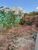 Terreno, 250 m² - Foto 2