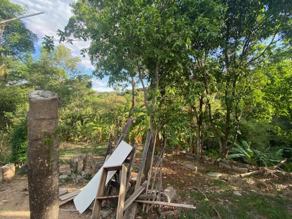 Chácara, 3 quartos, 6500 m² - Foto 6