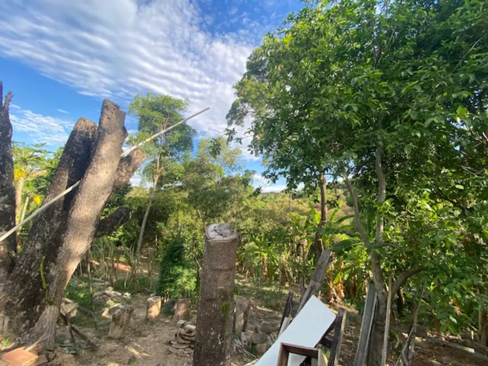Chácara, 3 quartos, 6500 m² - Foto 12