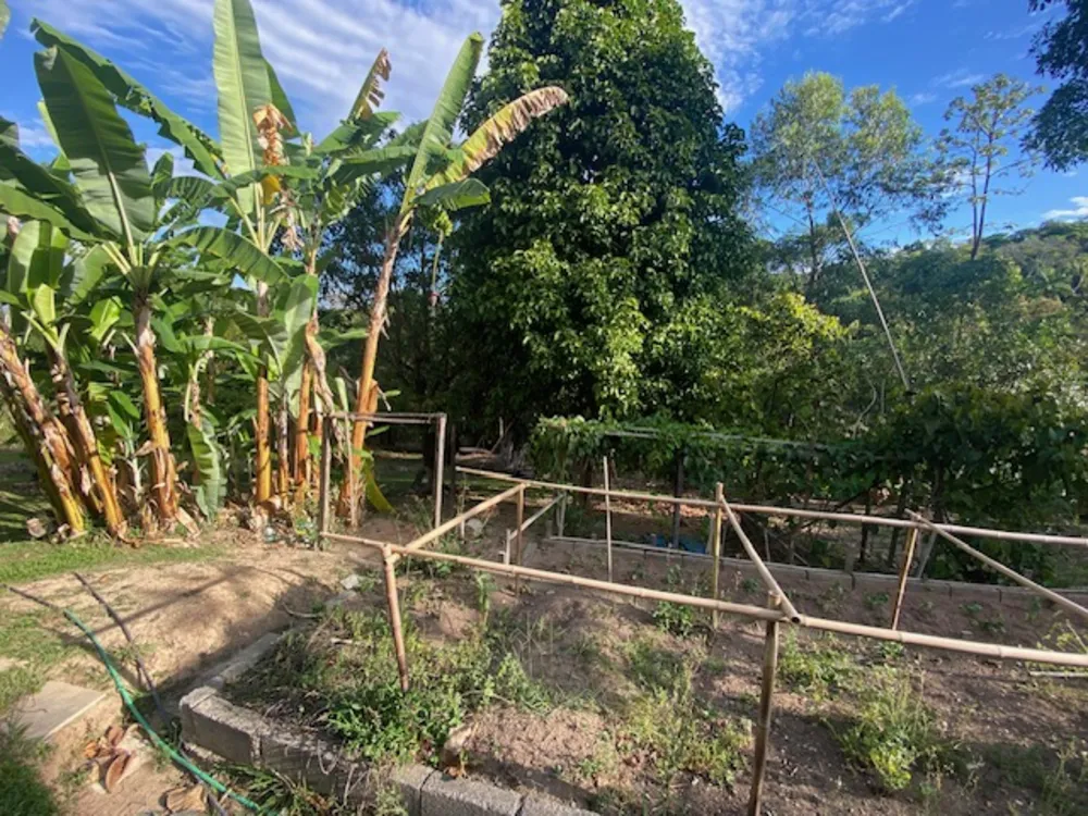 Chácara, 3 quartos, 6500 m² - Foto 6