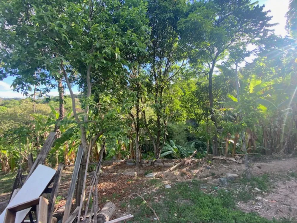 Chácara, 3 quartos, 6500 m² - Foto 7