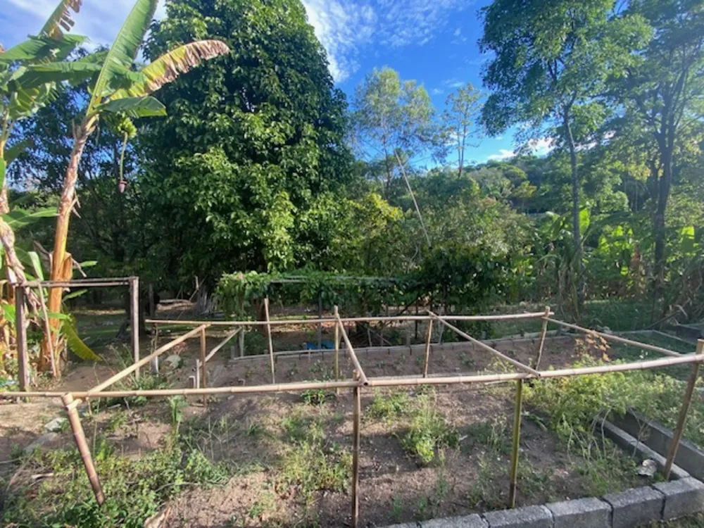 Chácara, 3 quartos, 6500 m² - Foto 4