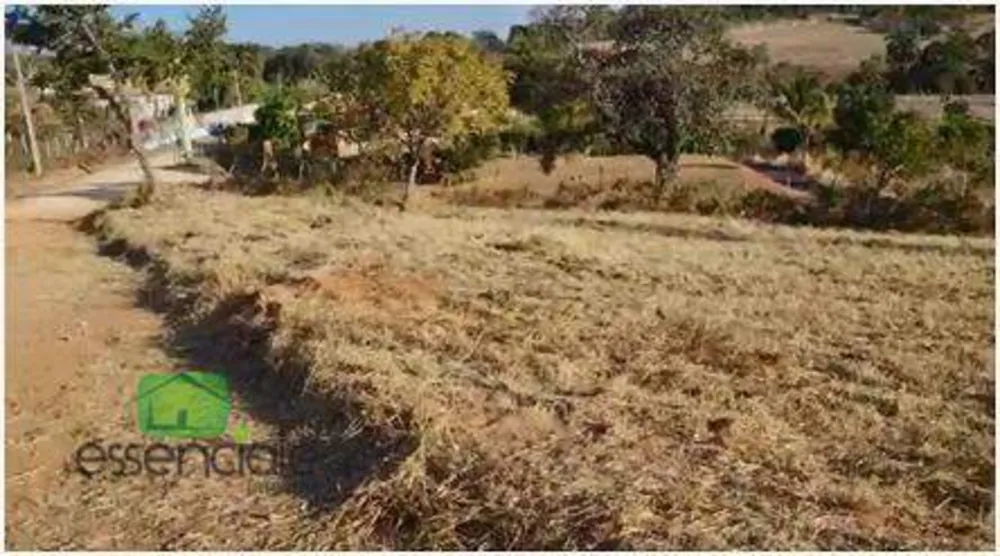Chácara, 1 quarto, 5000 m² - Foto 4