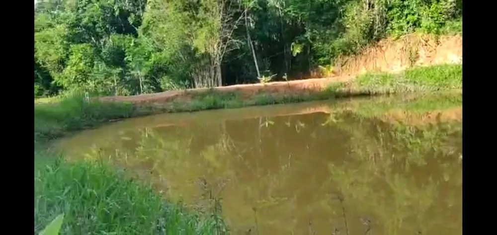 Fazenda, 52 hectares - Foto 5