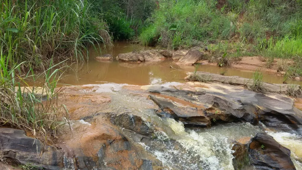 Fazenda, 52 hectares - Foto 7