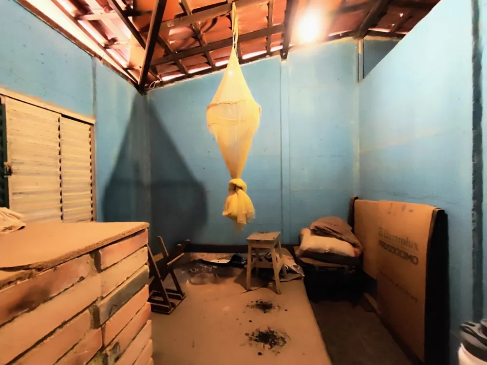 Chácara, 3 quartos, 2 hectares - Foto 7