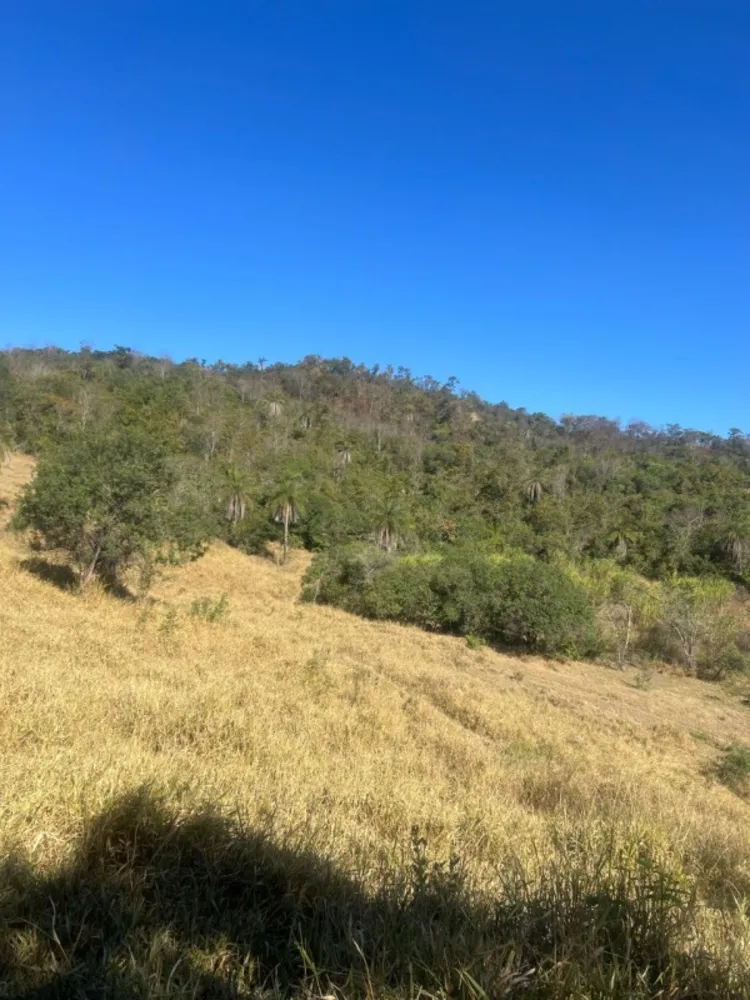 Fazenda, 30 m² - Foto 4