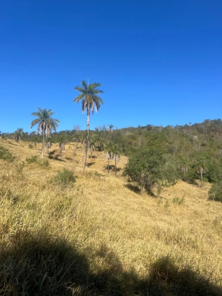 Fazenda, 30 m² - Foto 5