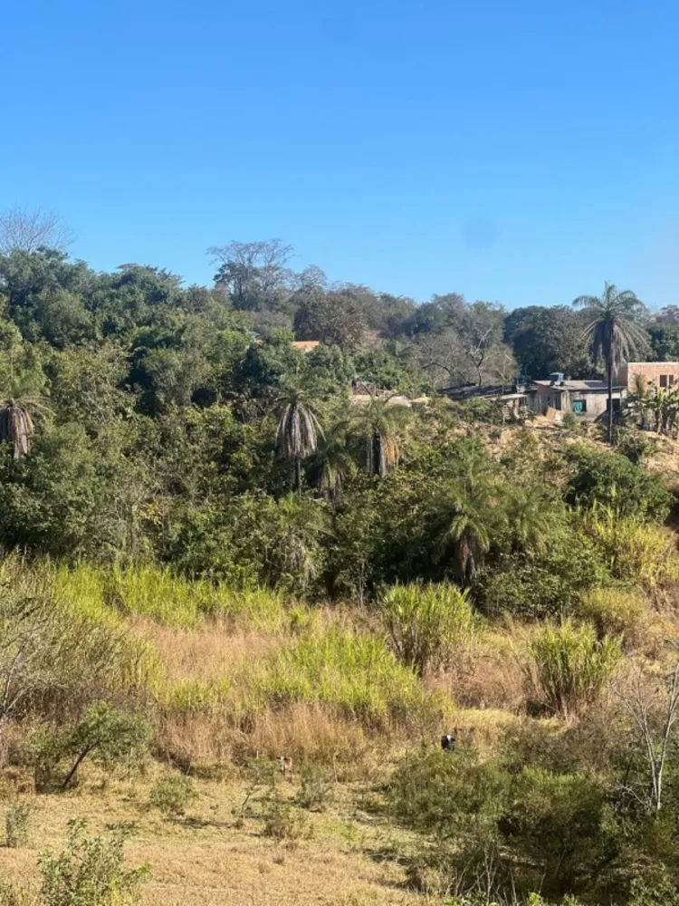 Fazenda, 30 m² - Foto 7