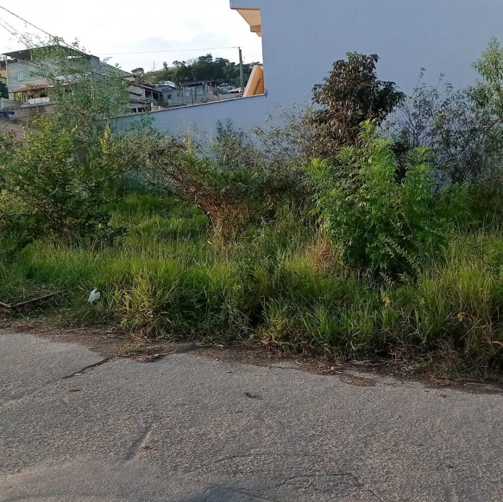 Terreno à venda, 252m² - Foto 3
