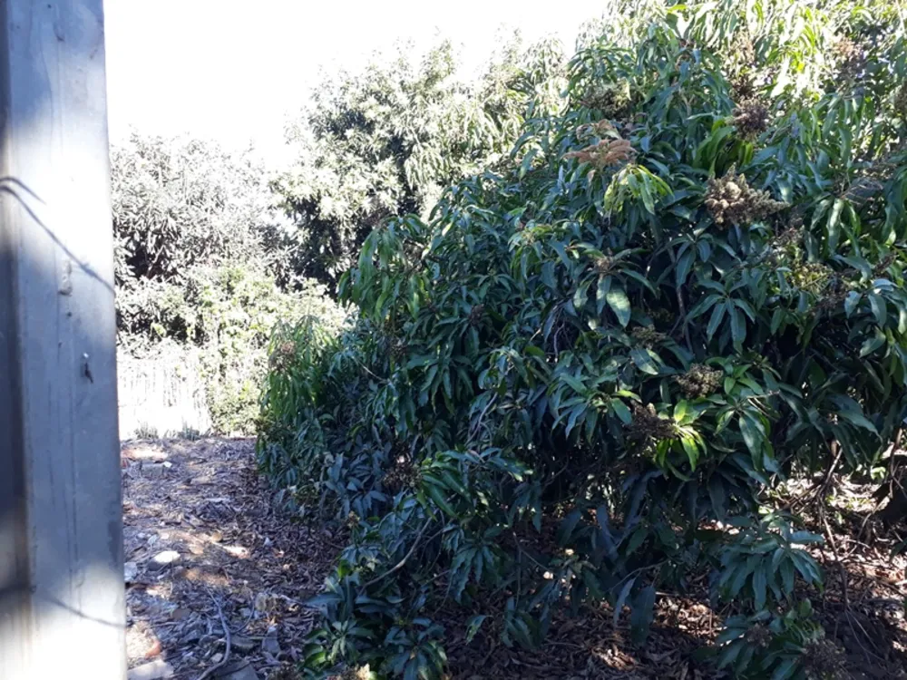 Terreno, 4500 m² - Foto 8
