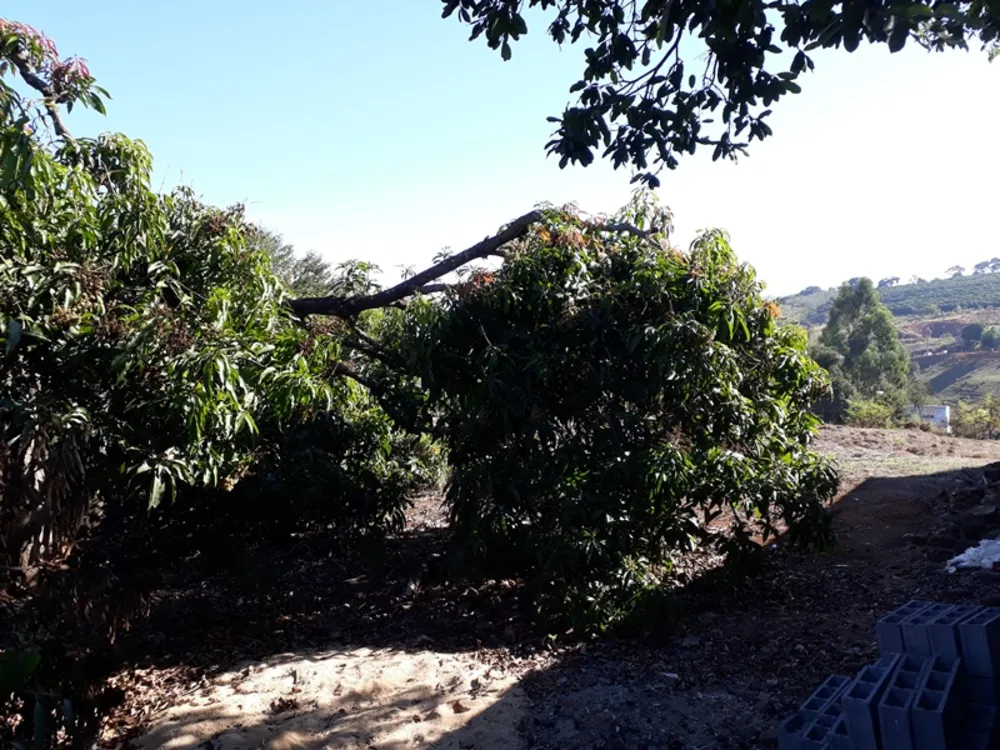 Terreno, 4500 m² - Foto 7