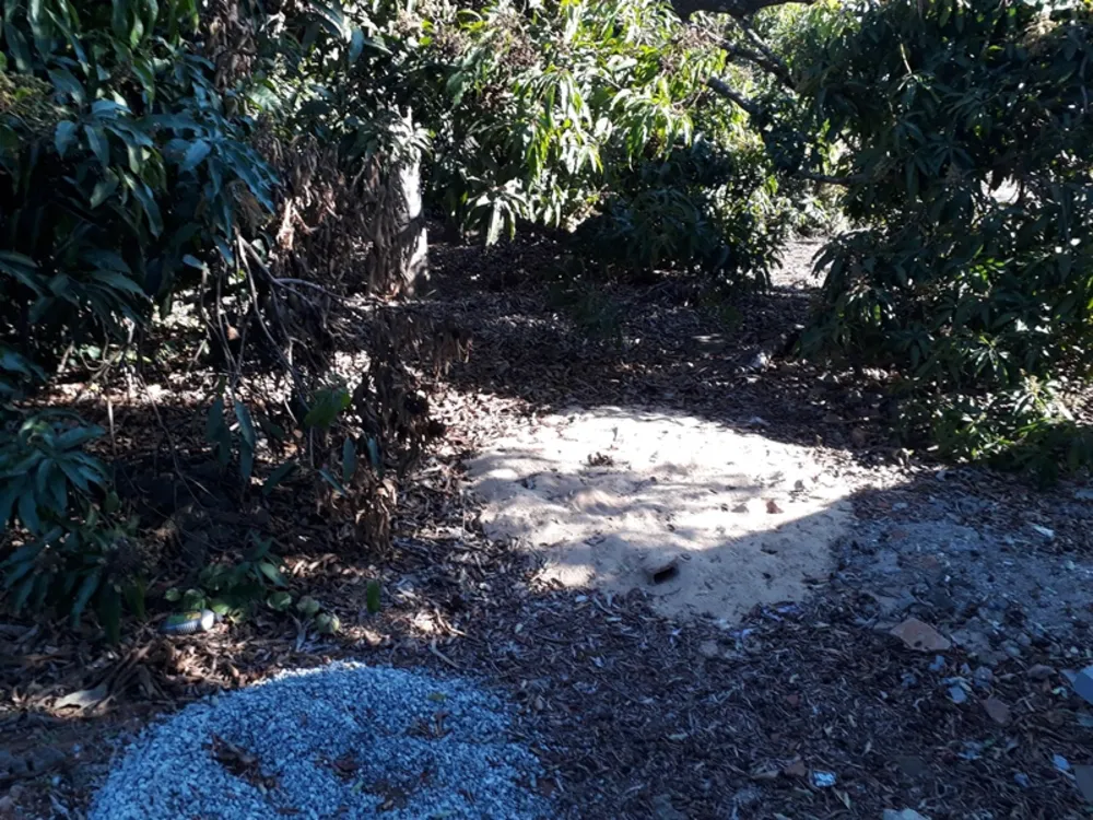 Terreno, 4500 m² - Foto 12