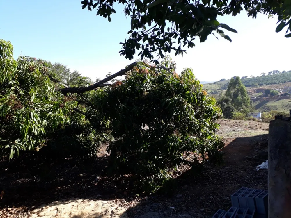 Terreno, 4500 m² - Foto 10