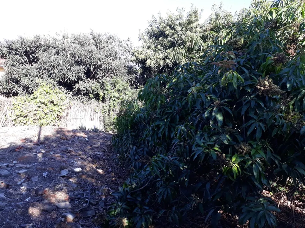 Terreno, 4500 m² - Foto 11