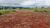 Terreno, 240 m² - Foto 5