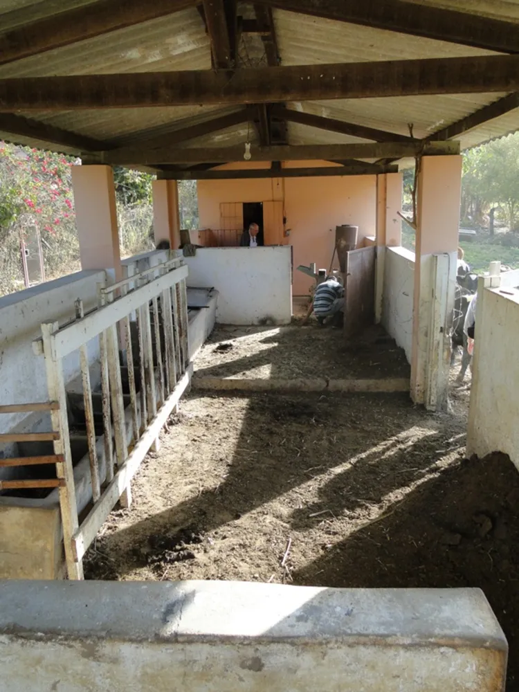 Sítio, 3 quartos, 3000 m² - Foto 9