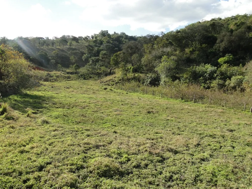 Sítio, 3 quartos, 3000 m² - Foto 12