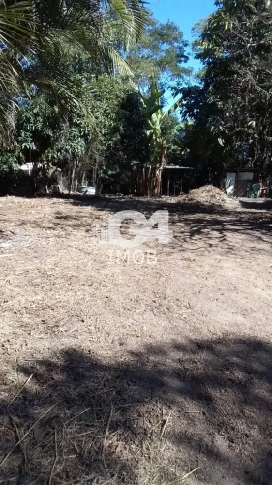 Terreno, 7963 m² - Foto 6