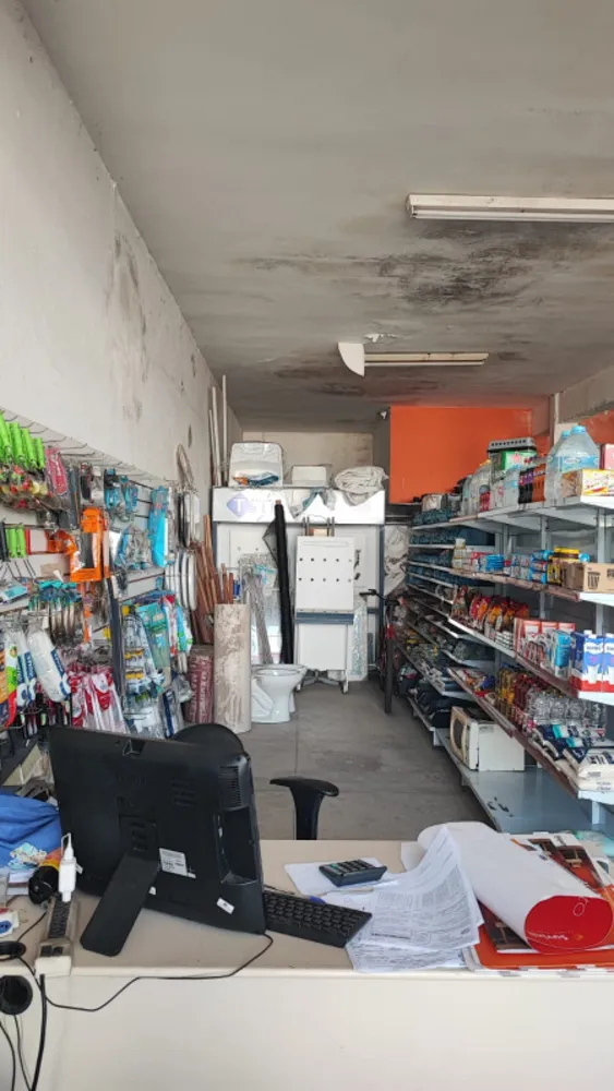 Depósito-Galpão, 250 m² - Foto 4