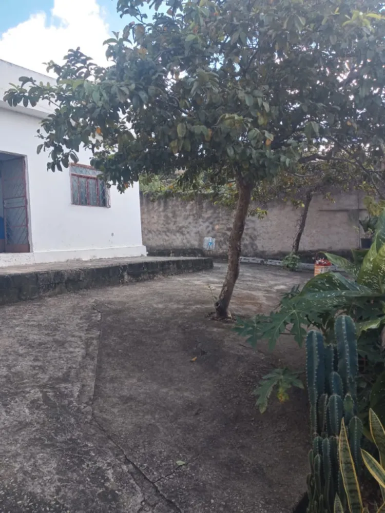 Casa, 3 quartos, 360 m² - Foto 12