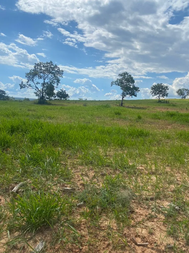 Fazenda, 893 hectares - Foto 6