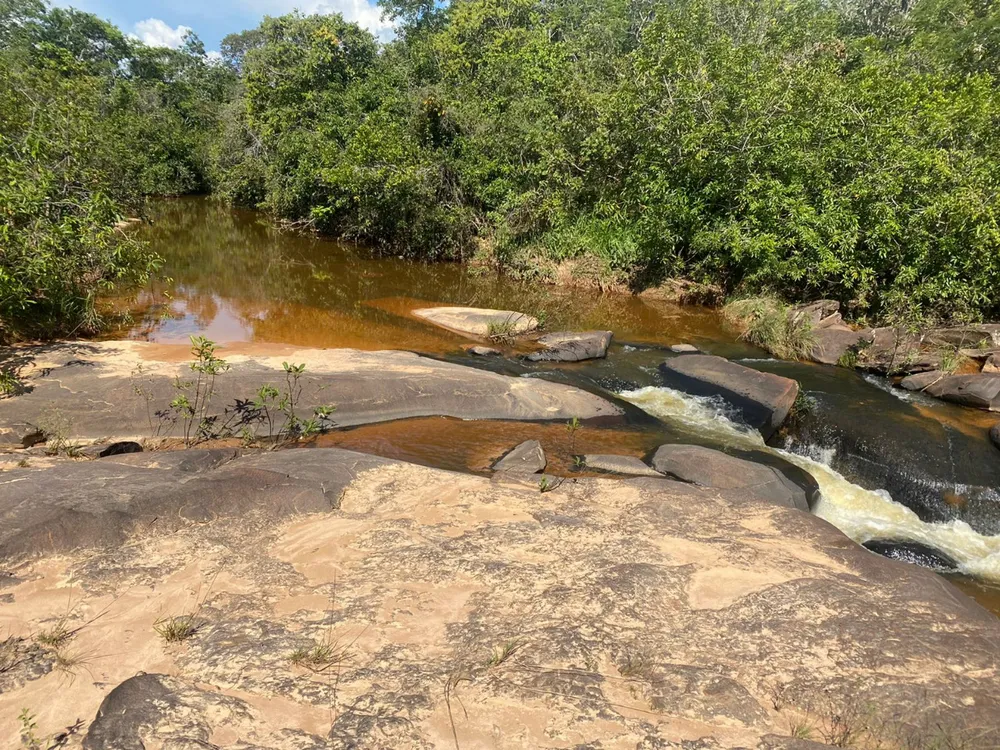 Fazenda, 893 hectares - Foto 8