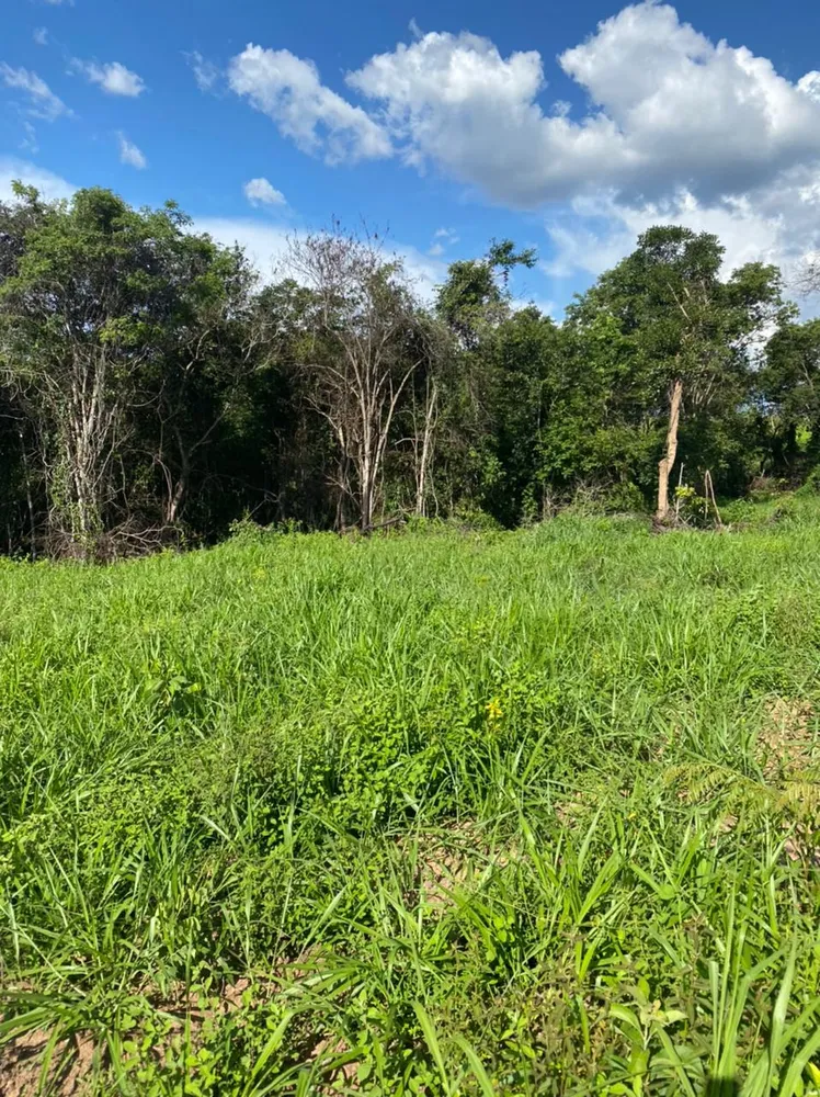 Fazenda, 893 hectares - Foto 5