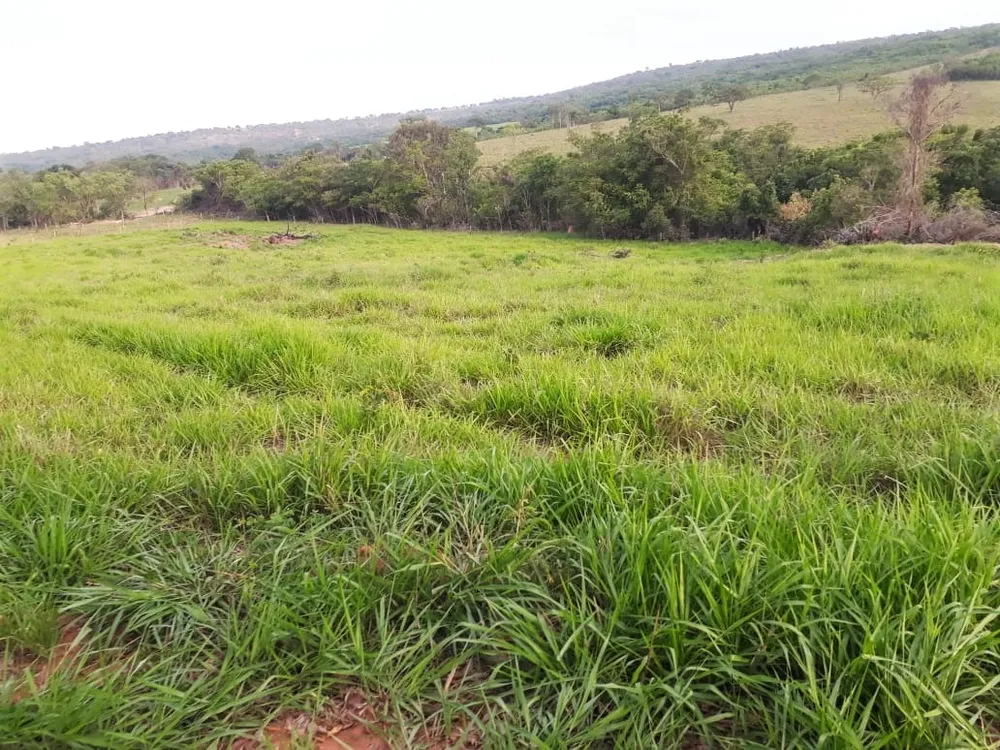 Fazenda, 893 hectares - Foto 3