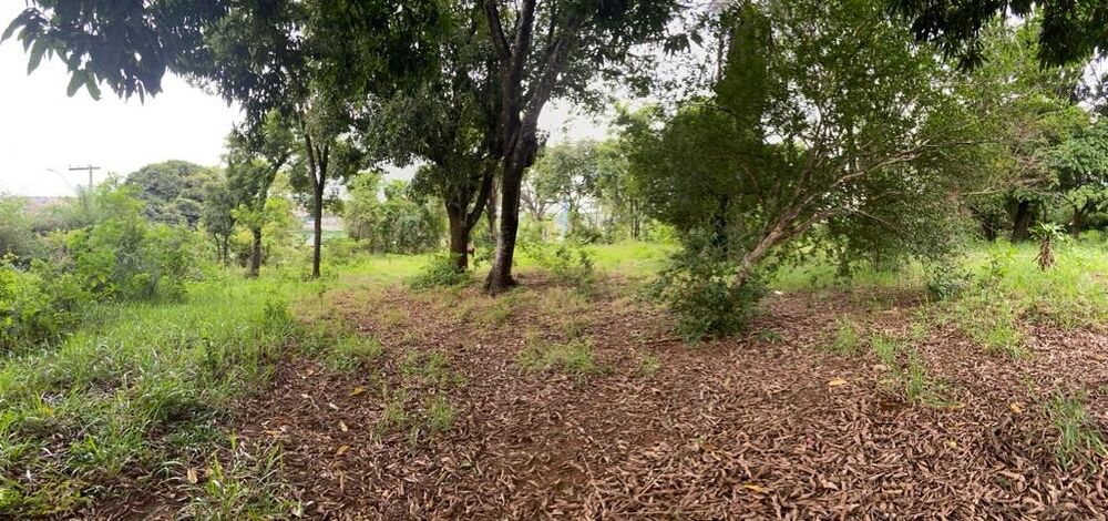 Terreno à venda - Foto 3