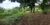 Terreno - Foto 4