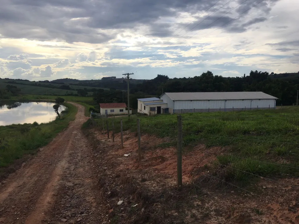 Fazenda, 5 quartos - Foto 6