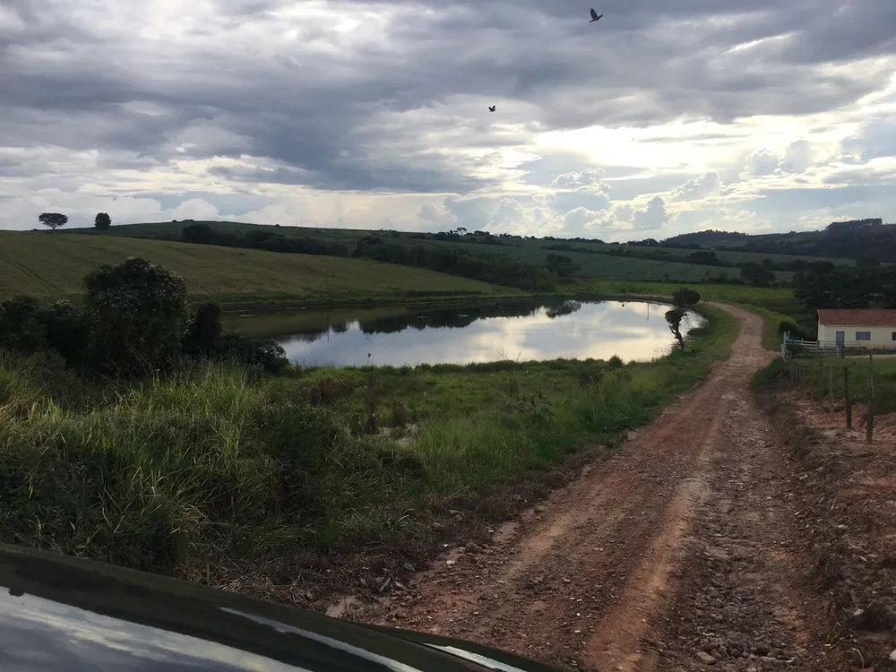 Fazenda, 5 quartos - Foto 7
