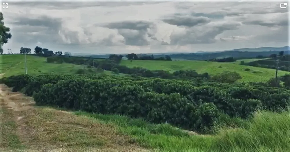 Fazenda, 5 quartos - Foto 1