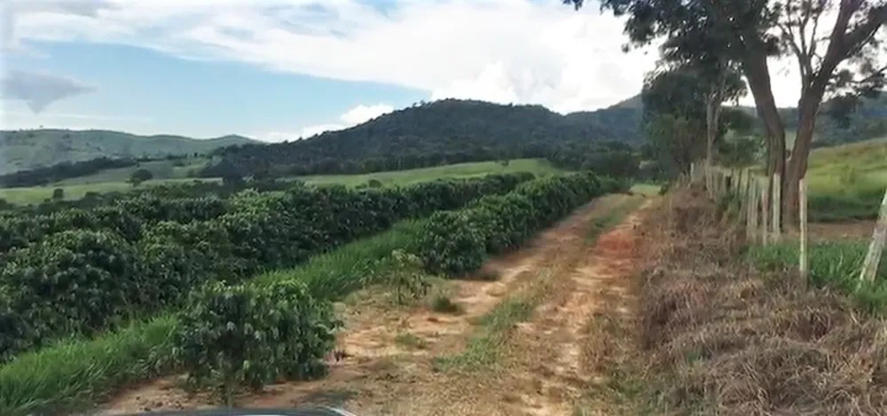 Fazenda, 5 quartos - Foto 8
