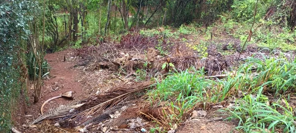Terreno, 360 m² - Foto 3