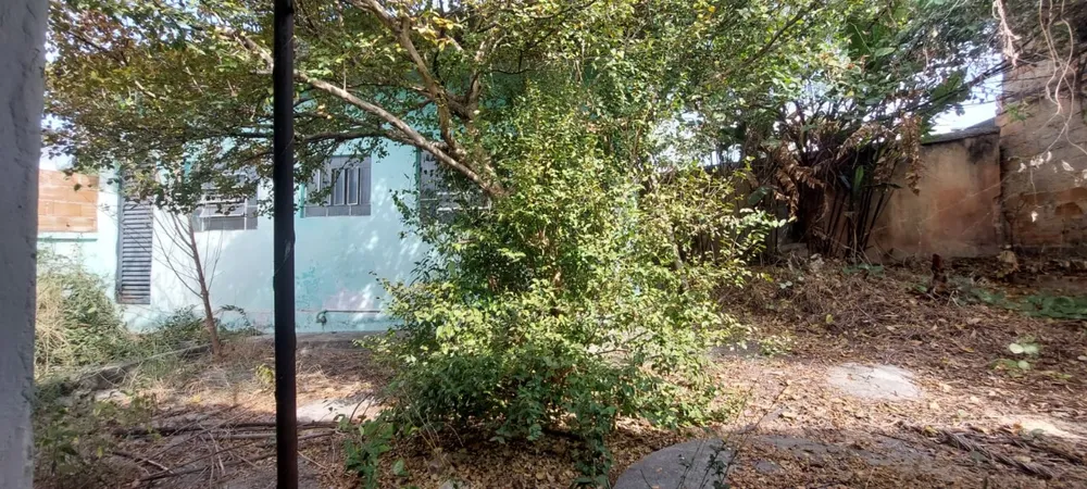 Casa, 3 quartos, 252 m² - Foto 3