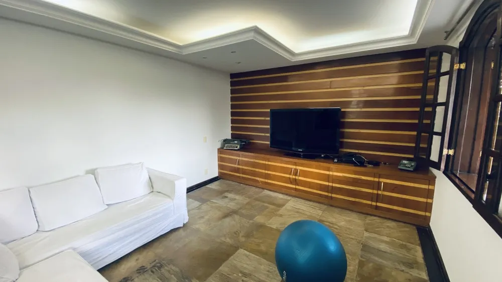 Casa, 4 quartos, 350 m² - Foto 2