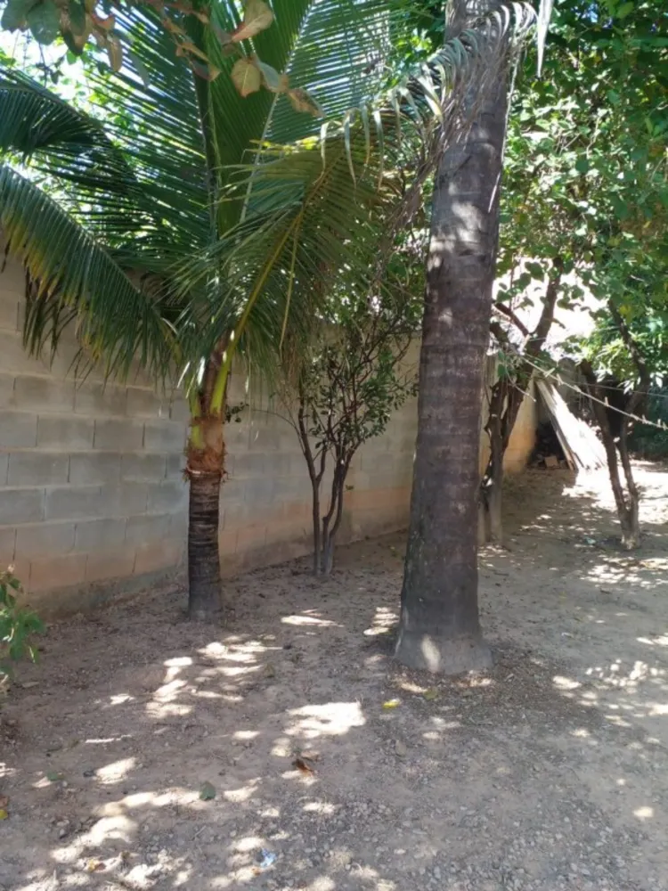 Casa, 2 quartos, 360 m² - Foto 6