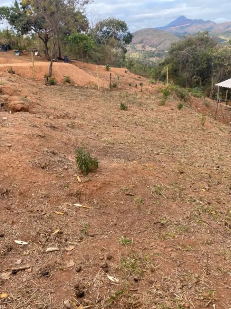 Terreno, 1700 m² - Foto 3