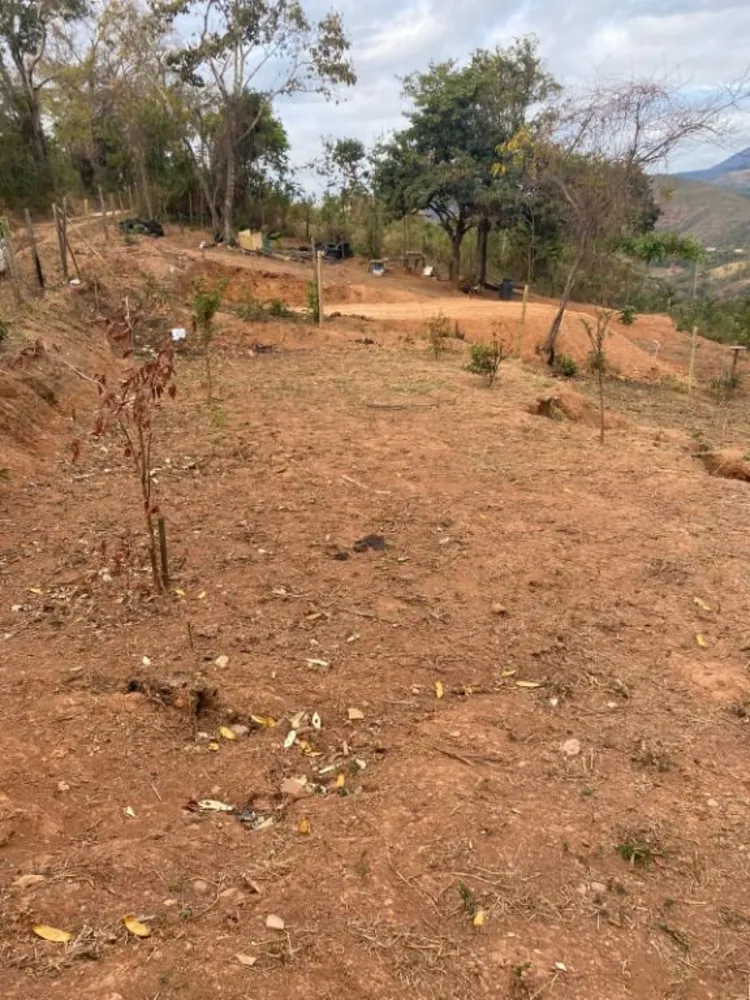 Terreno, 1700 m² - Foto 2