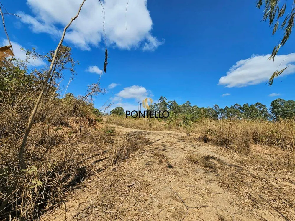 Terreno, 2 hectares - Foto 7