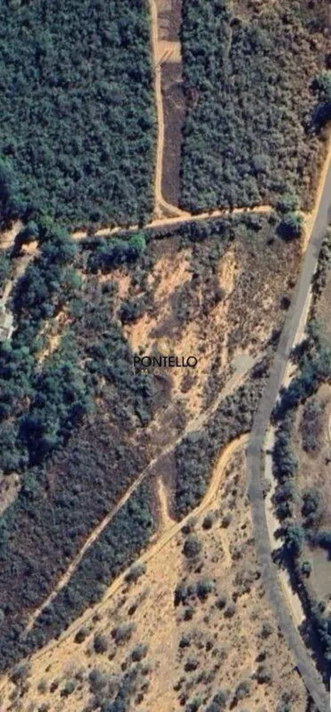 Terreno, 2 hectares - Foto 4