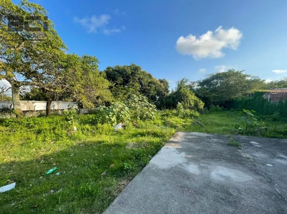 Casa, 3 quartos, 3270 m² - Foto 16