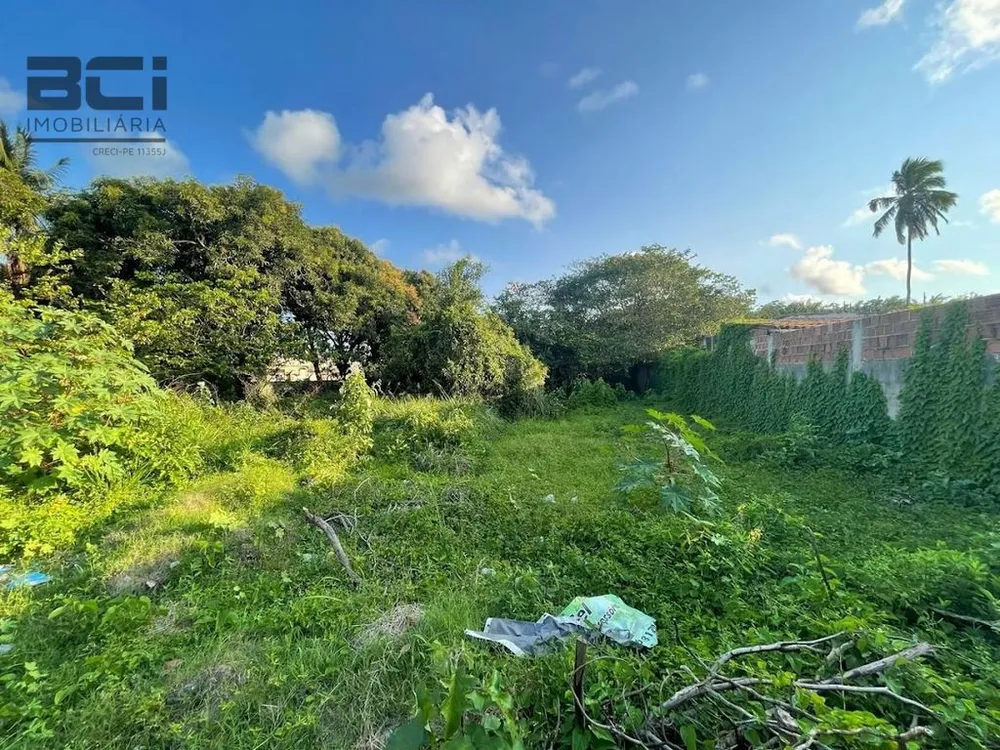 Casa, 3 quartos, 3270 m² - Foto 15