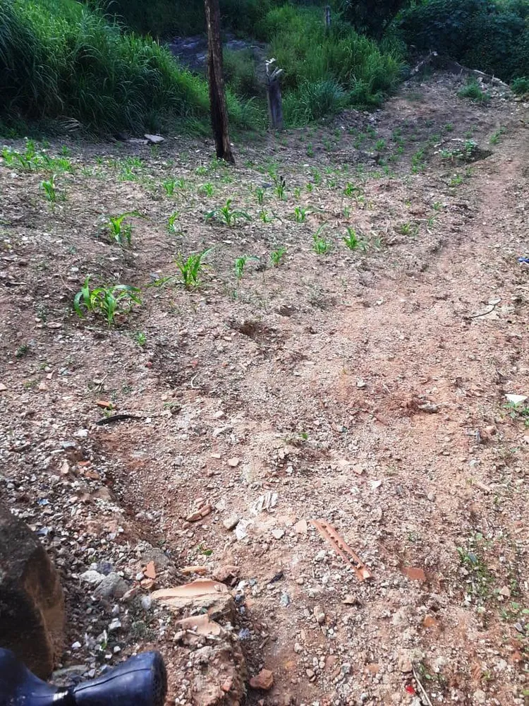 Terreno, 373 m² - Foto 6