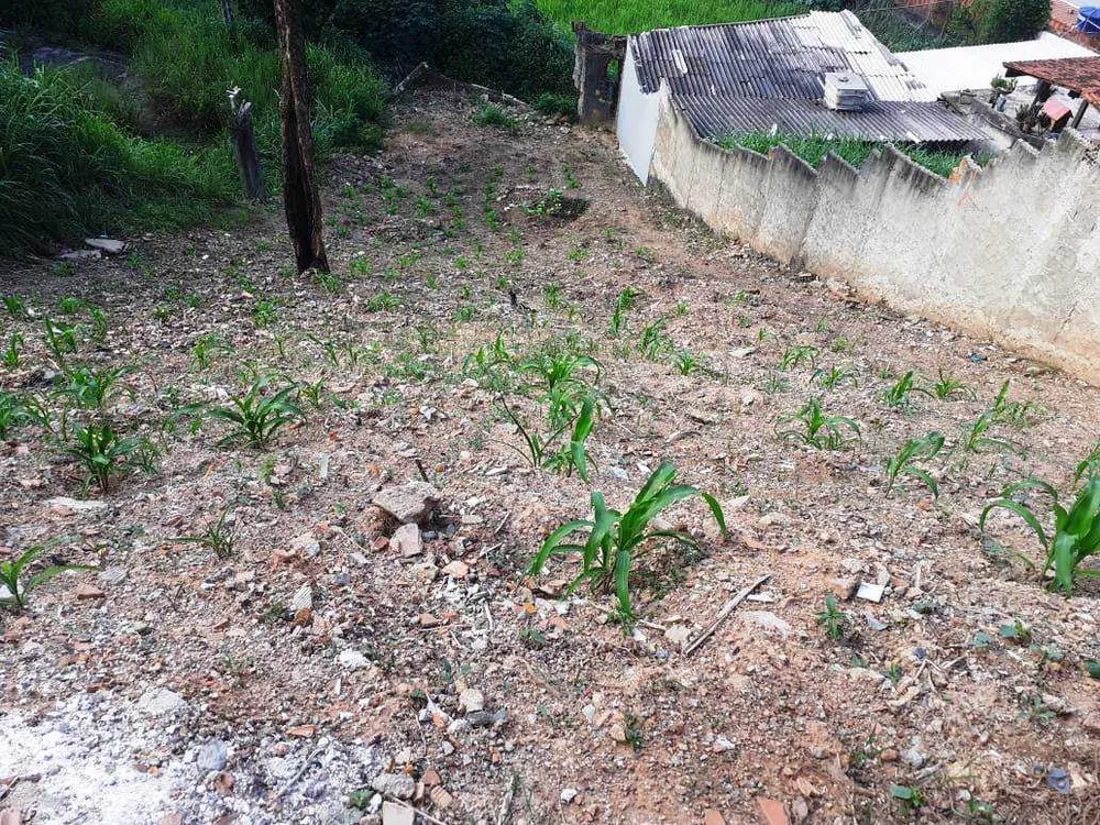 Terreno, 373 m² - Foto 4