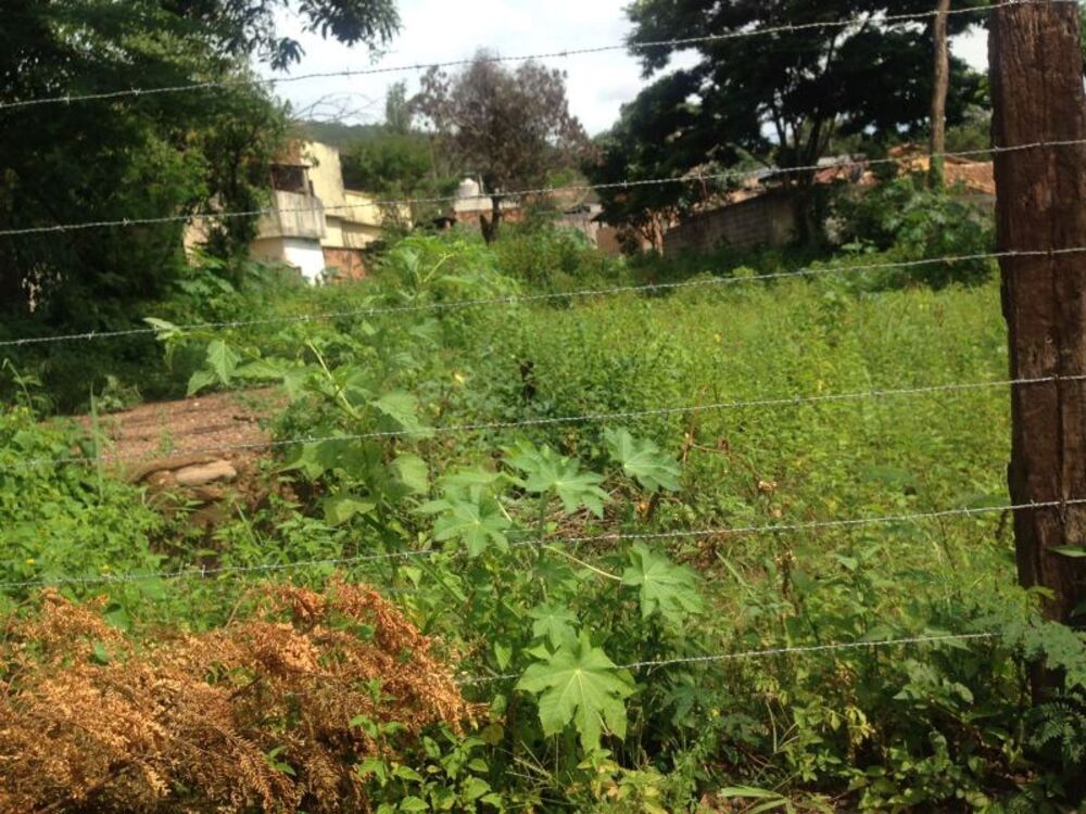 Terreno à venda, 600m² - Foto 2