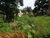 Terreno, 600 m² - Foto 3