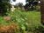 Terreno, 600 m² - Foto 2